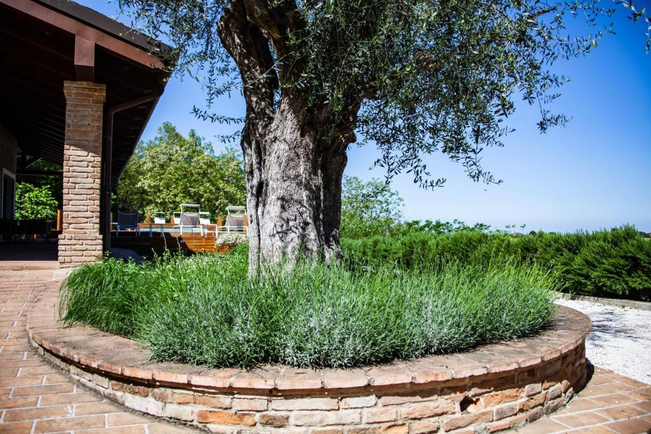 Resort Villa Paola Longiano Bagian luar foto