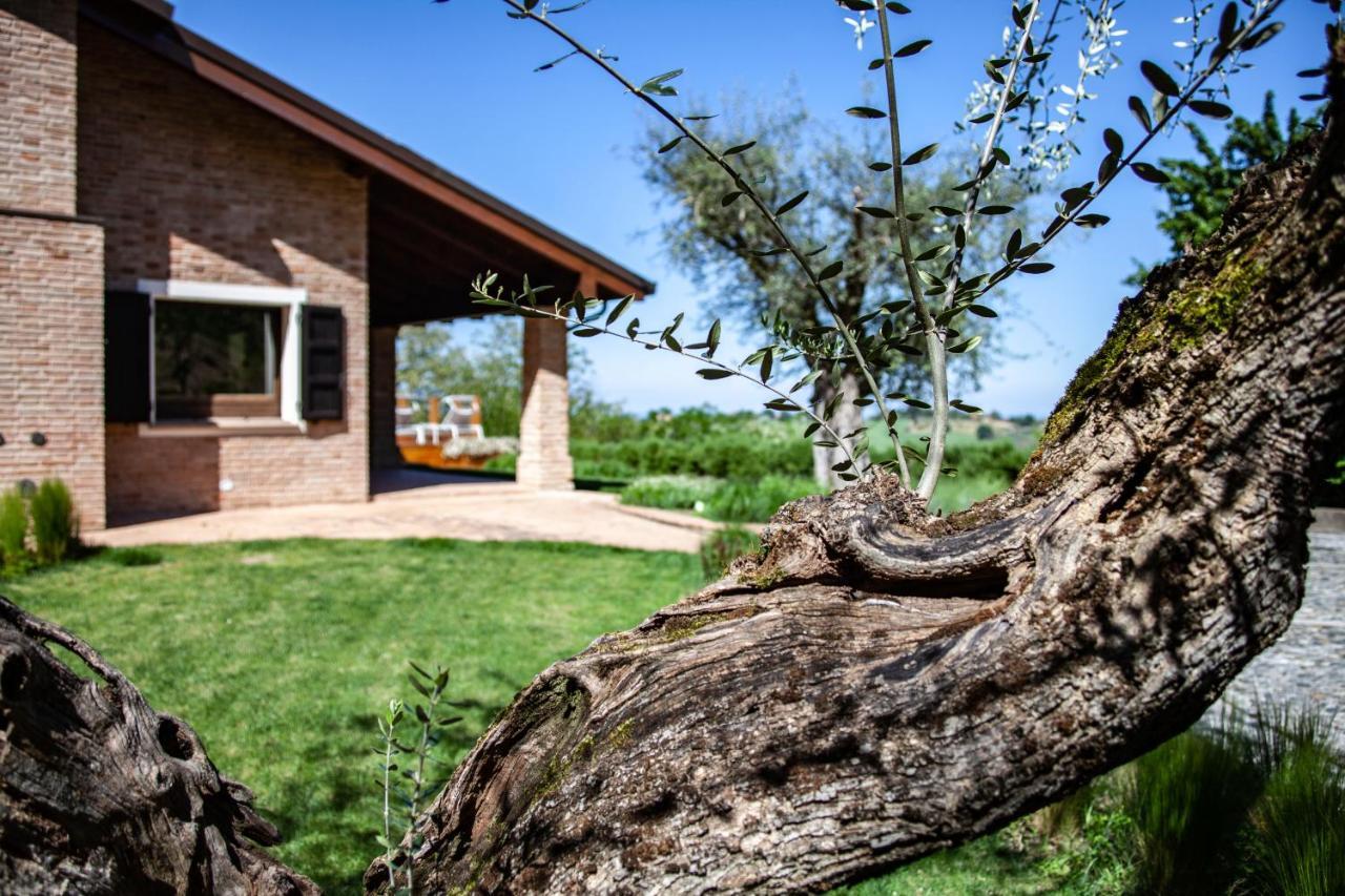 Resort Villa Paola Longiano Bagian luar foto